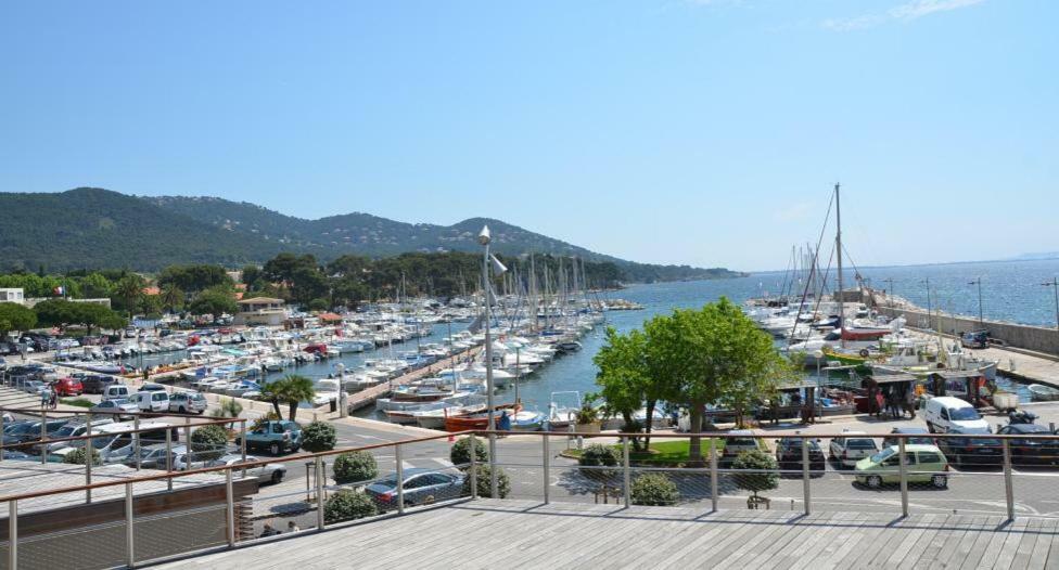 Apartament Studio 4 Personnes Avec Piscine, Tennis Hyères Zewnętrze zdjęcie